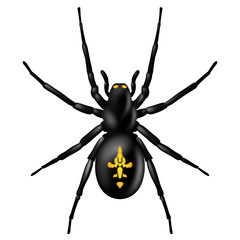 Spinne, Halloween, schwarz, orange, Vektor, freigestellt