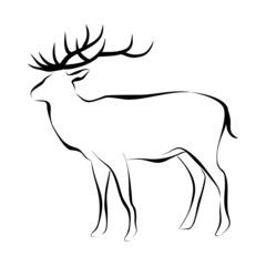 contour deer