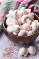 Fresh mushrooms