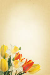 Abstract background for design