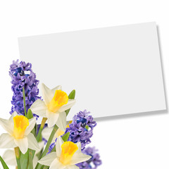 Holiday background with spring flowers  and empty  place for you