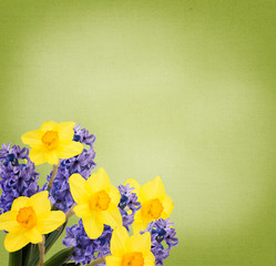 Holiday background with spring flowers  and empty  place for you