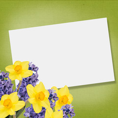 Holiday background with spring flowers  and empty  place for you