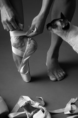 Attraction to ballet, monochrome