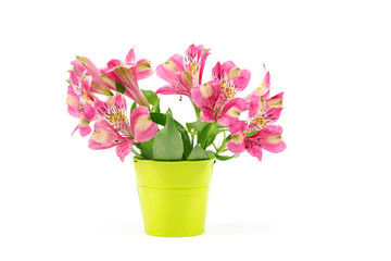 Bouquet of lily flowers in a bucket.