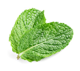 Two fresh mint leaves isolated on white background. Studio macro