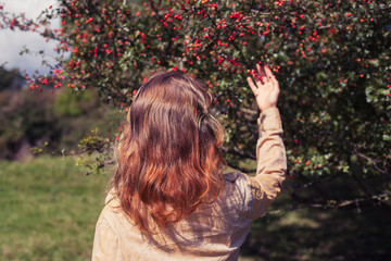 Young woman picking berries