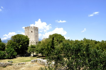 Fototapeta na wymiar Summer day view of a castle in ruin
