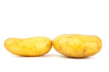 Potato