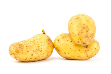 Potato