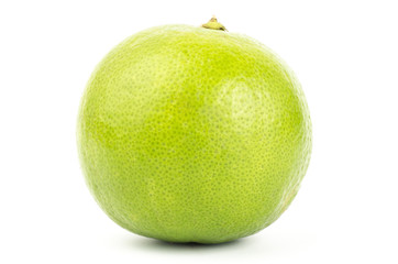 Lime