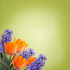 Floral background