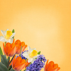 Floral background