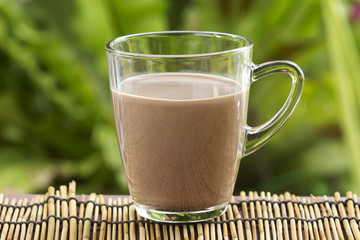 Fresh chocolate Milk in a glass