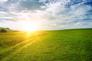 sun near the horizon and green field