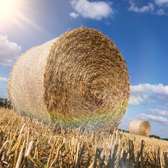 Straw bales