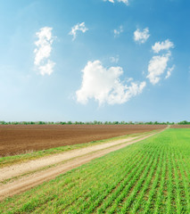 Fototapeta na wymiar green field with road and clouds in blue sky