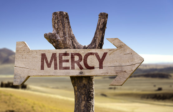 Mercy wooden sign with a desert background