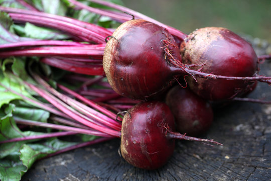 Betteraves Bio du jardin