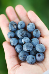 Handful of blueberries
