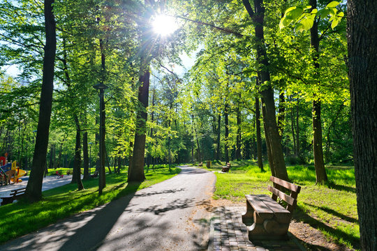 City park with bicycle road and benches