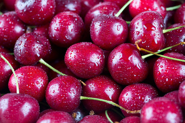 wet cherries background