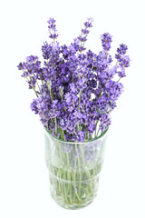 Obraz premium lavender in a glass isolated on white