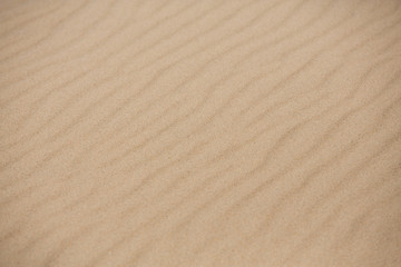 Fototapeta na wymiar sand ripples