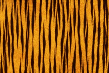 Fur Animal Textures, Tiger small - 69422233