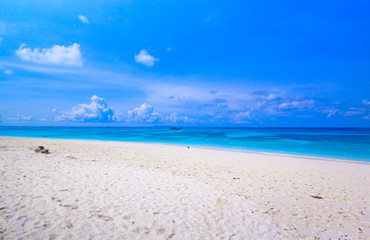 Tropical beach of Andaman Sea in Tachai island - Thailand