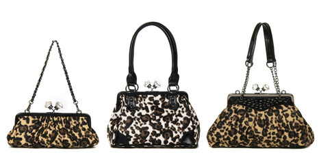 set of leopard women bags  on white background
