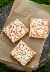 Pie with ricotta and nuts over rustic background