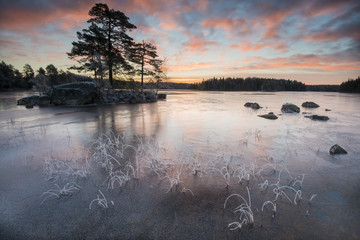 Fototapeta premium Soluppgång vid den frusna sjön