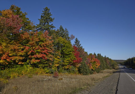 Highway with colorful maple leaves