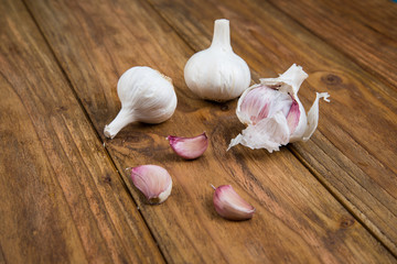 Garlic