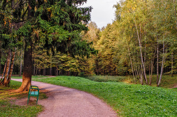 Trees in autumn colors in park