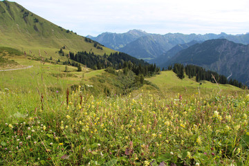 In den Bergen wandern