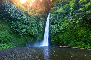 Foto auf Acrylglas Indonesien Wasserfall in Indonesien