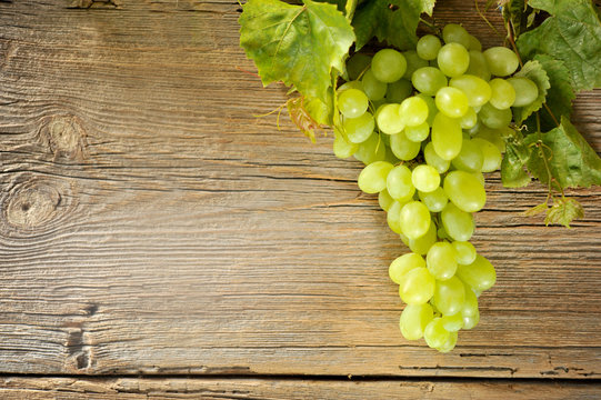 winogrono