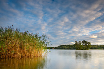 Swedish nature