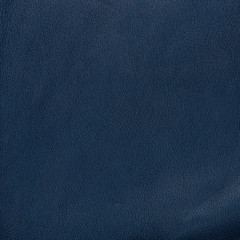 Blue leather