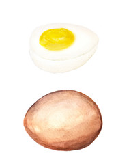 Egg and half of egg
