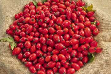 Dog Rose Fruits On Jute - DSC1561