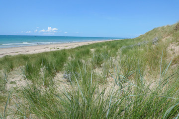 dunes de Normandie