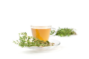 Thymiantee in Teetasse mit frischen Kräutern, weißer Hintergrund