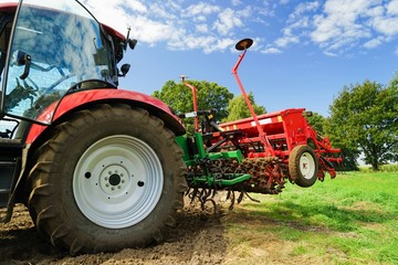 Obraz premium Getreideanbau, Herbstbestellung - Nahaufnahme