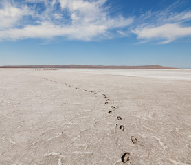 desert landscape
