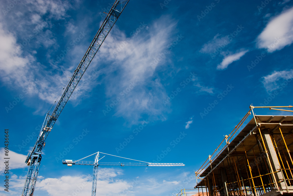 Wall mural cranes