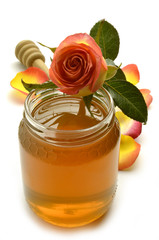 Honey Miele Honig Miel Miód Rose Rosa Róża Rosen Rosier © Comugnero Silvana