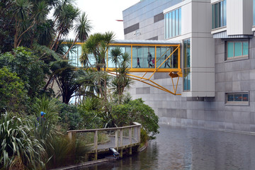 Museum of New Zealand Te Papa Tongarewa © Rafael Ben-Ari